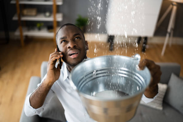Best Professional water damage repair  in Liberty, MO
