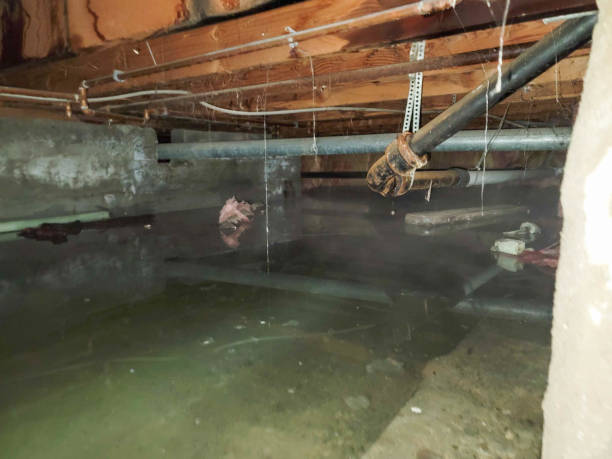 Trusted Liberty, MO Water damage restoration Experts
