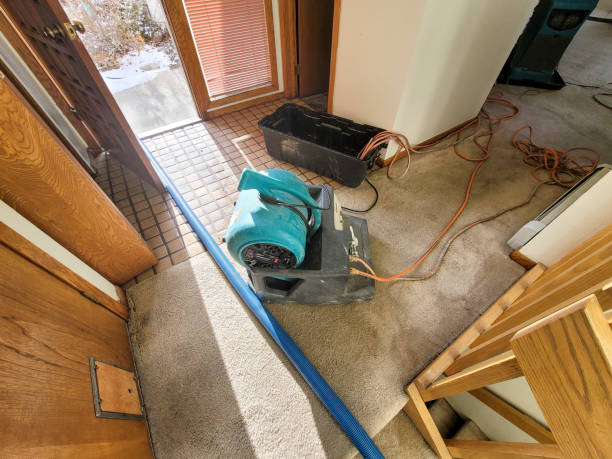 Best Flood damage cleanup  in Liberty, MO