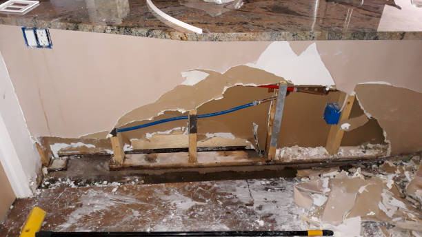 Best Professional water damage repair  in Liberty, MO