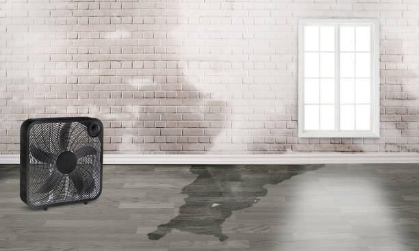 Water damage restoration insurance claims in Liberty, MO