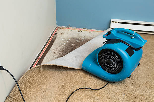 Best Water damage restoration insurance claims  in Liberty, MO